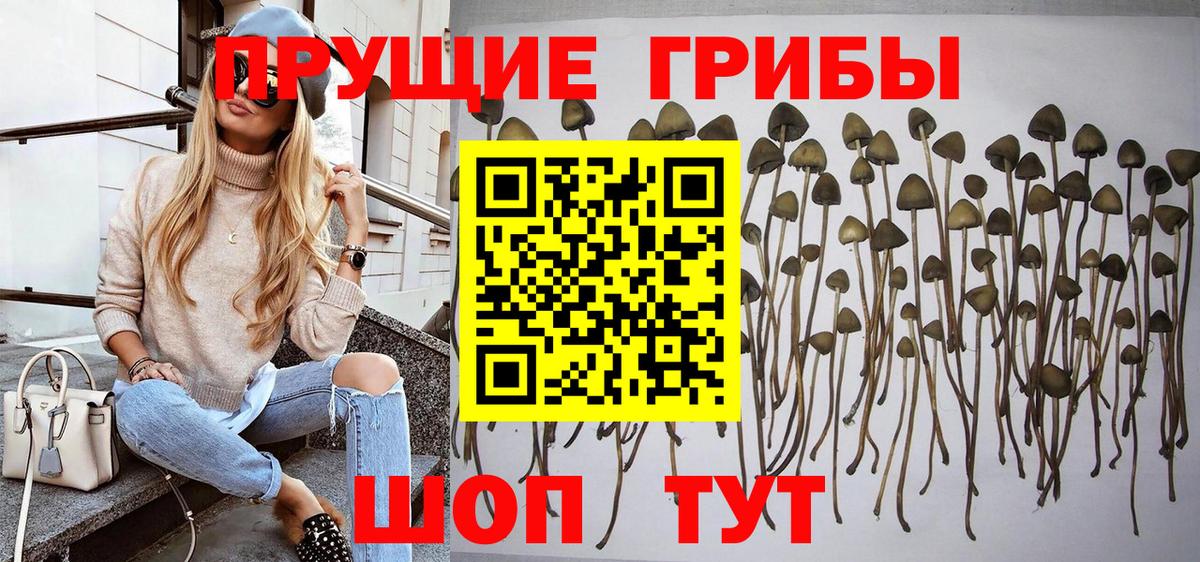 Псилоцибиновые грибы прущие грибы  Вход с VPN  Псилоцибиновые грибы MAGIC MUSHROOMS  Уссурийск 